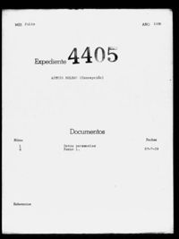 Ajenjo Roldan, Concepción