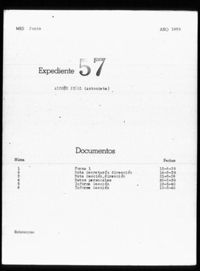 Alcoñe Piñol, Antonieta