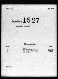 Audi Flores, Joaquin