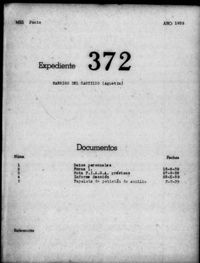 Barrios de Castillos, Agustin