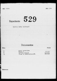 Calleja Lanza, Santiago