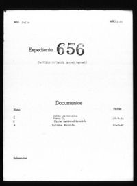 Castillo Gonzalez, Angel Manuel