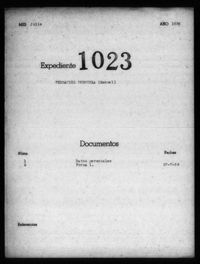 Fernández Pedrueza, Manuel