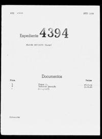 Flores Exposito, Luis