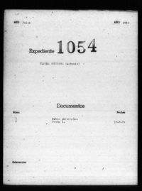 Flores Guerrero, Antonio