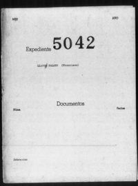 Llano Palmer, Francisco