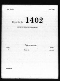 Llorente Fernandez, Ascensión