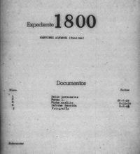 Martínez Álvarez, Paulino