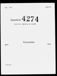 Saiz Guerra, María de las Nieves