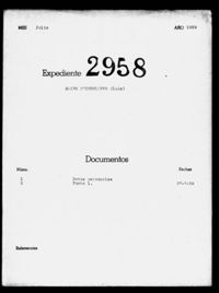 Sales Puigdollers, Luis