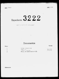 Soriano Guerrero, Joaquin