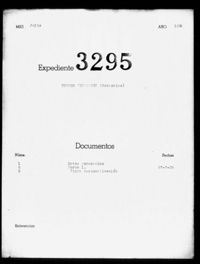 Torres Fernandez, Sebastian