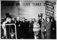 FOT-000462