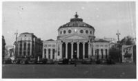 FOT-000465