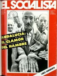 Socialista, El  p 02824 - (1981/05/06)