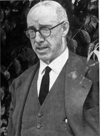 FONDO AMARO ROSAL DÍAZ FOT-008380