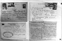 FONDO AMARO ROSAL DÍAZ FOT-009005